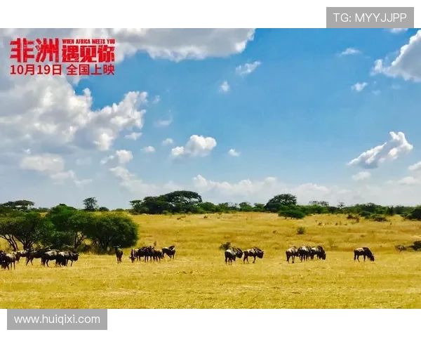 大白鲨大报复引发海域危机人类绝境求生惊险传奇史诗冒险篇章