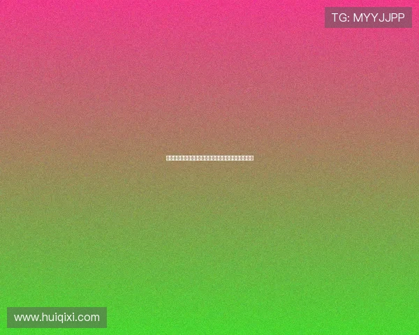 战龙四驱：不只是一场速度的较量，更是一次梦想的征途